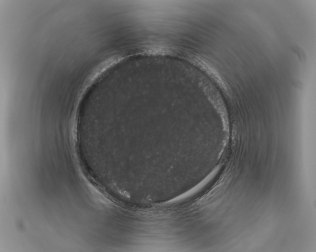 X0000111050722200908061517