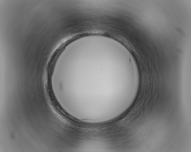 X0000111050726200908061517