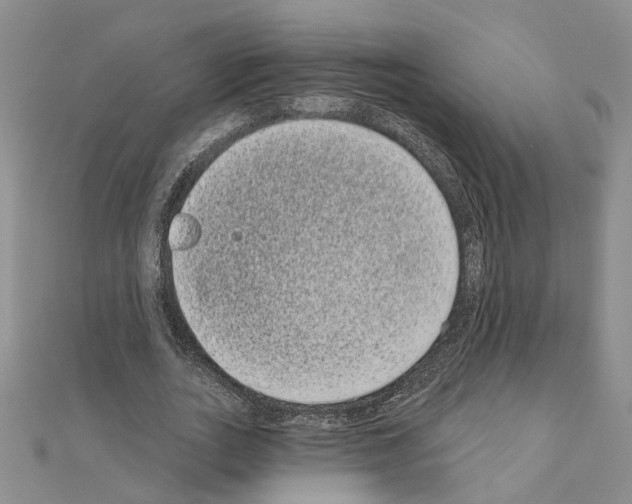 X0000111050727200908061517