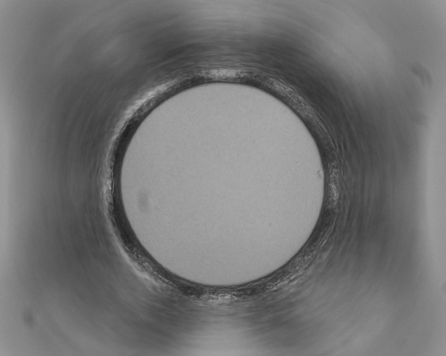 X0000111050728200908061517