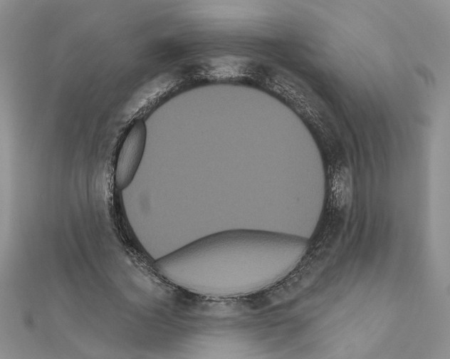 X0000111050732200908061517