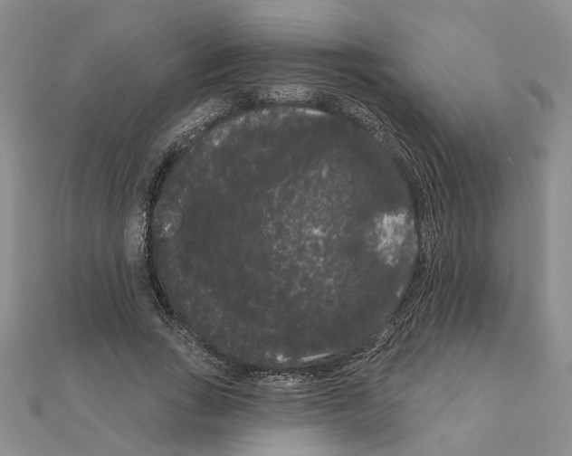 X0000111050735200908061517