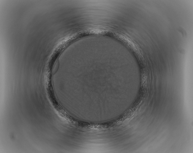 X0000111050736200908061517