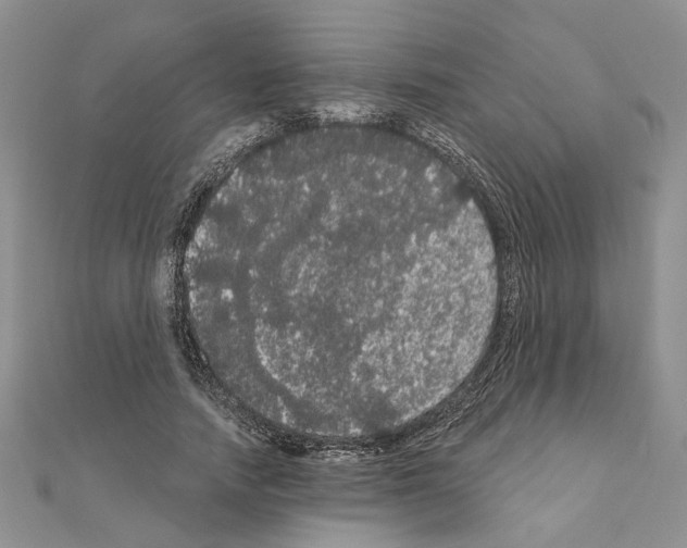 X0000111050738200908061517