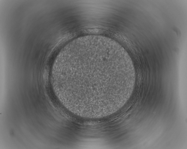 X0000111050739200908061517