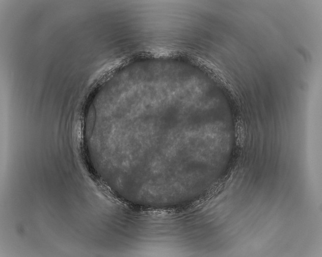 X0000111050740200908061517