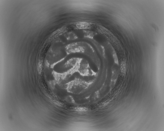 X0000111050741200908061517