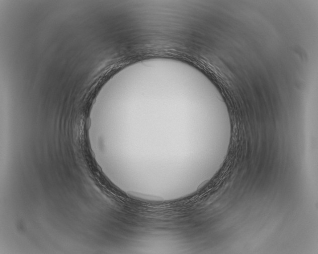 X0000111050744200908061517