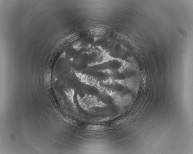 X0000111050745200908061517