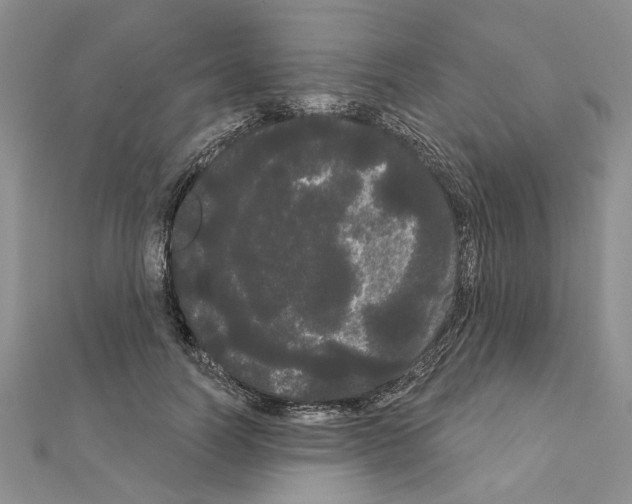 X0000111050746200908061517