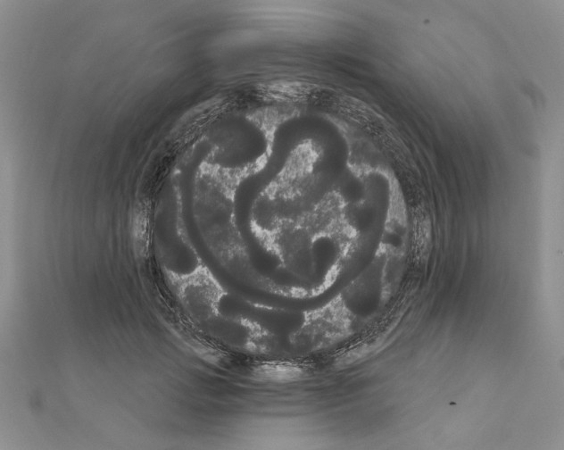 X0000111050749200908061517