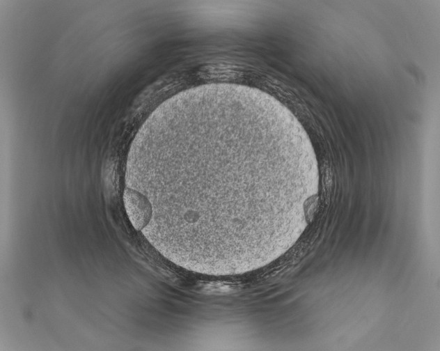 X0000111050751200908061517