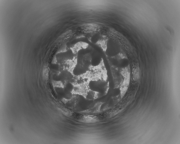 X0000111050753200908061517