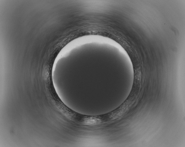 X0000111050754200908061517