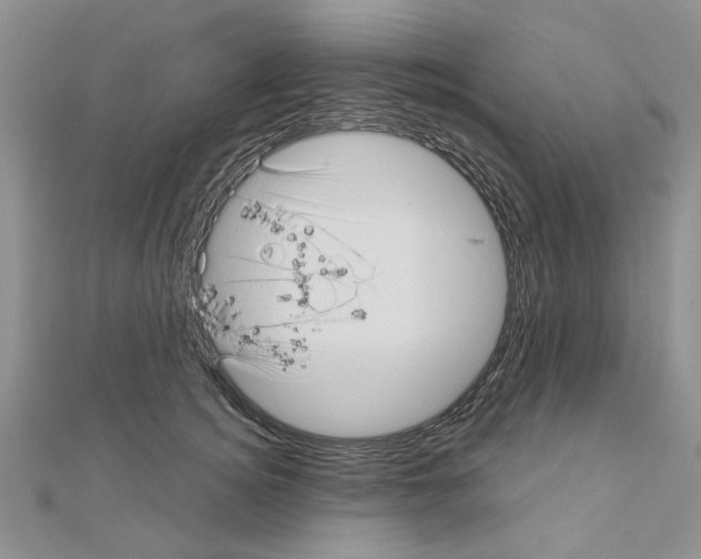 X0000111050756200908061517