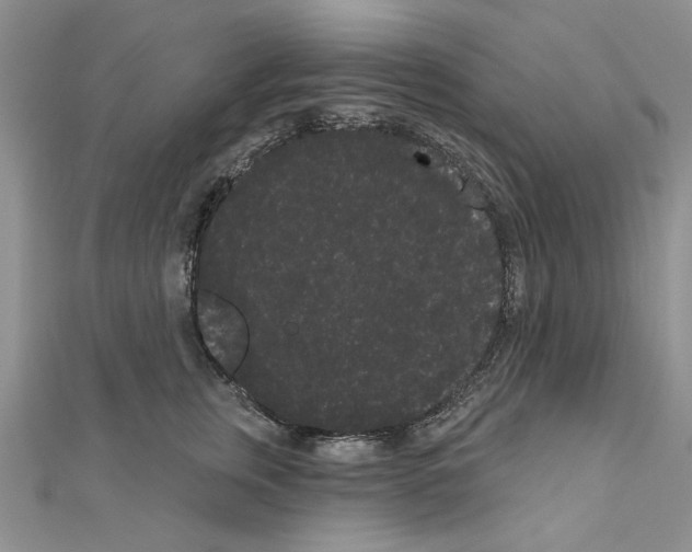 X0000111050759200908061517