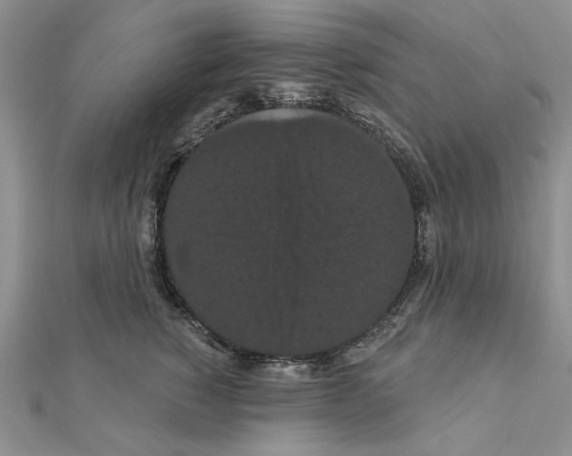 X0000111050760200908061517