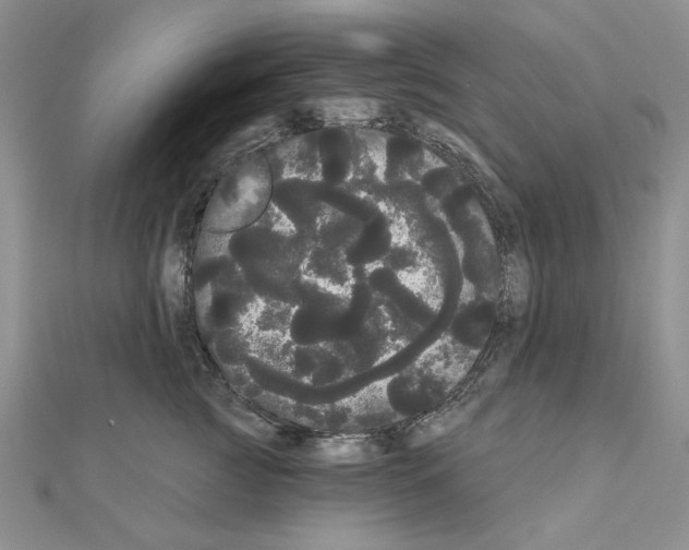 X0000111050761200908061517