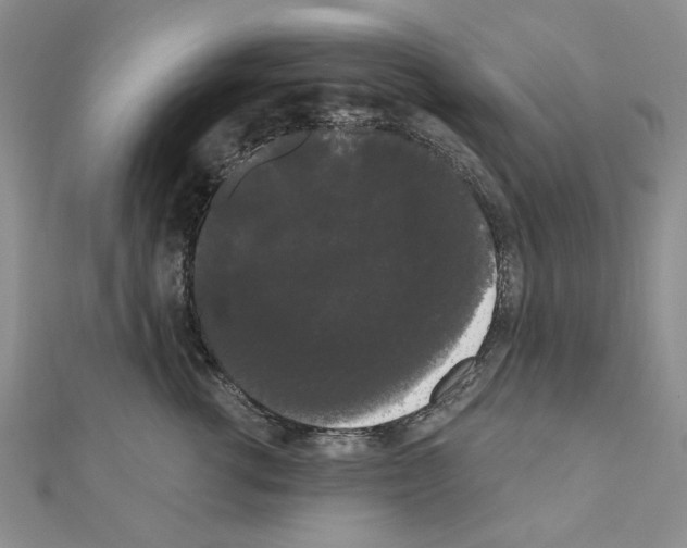 X0000111050762200908061517