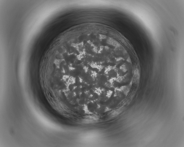 X0000111050765200908061517