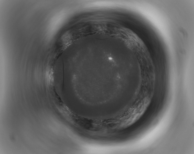 X0000111050766200908061517