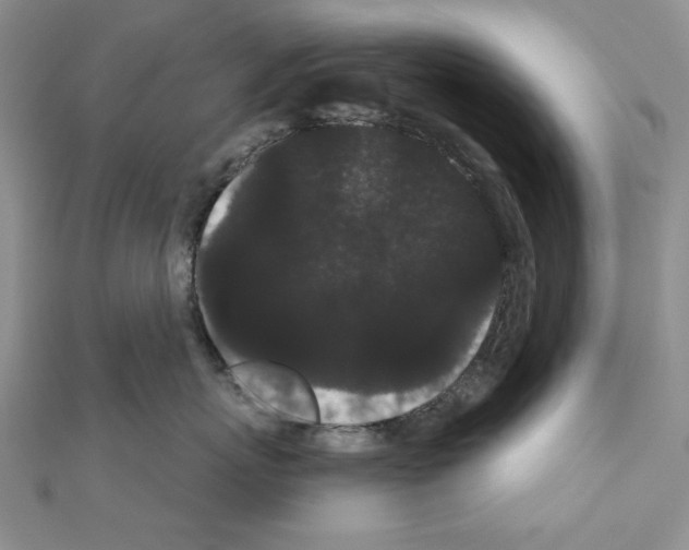 X0000111050767200908061517