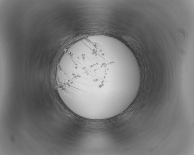 X0000111050768200908061517