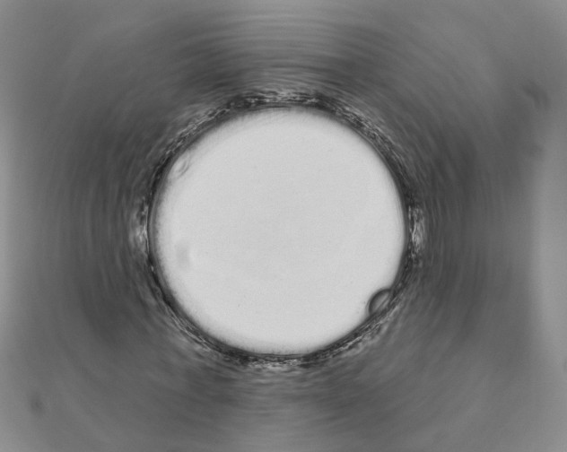 X0000111050771200908061517