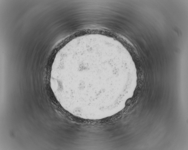 X0000111050775200908061517