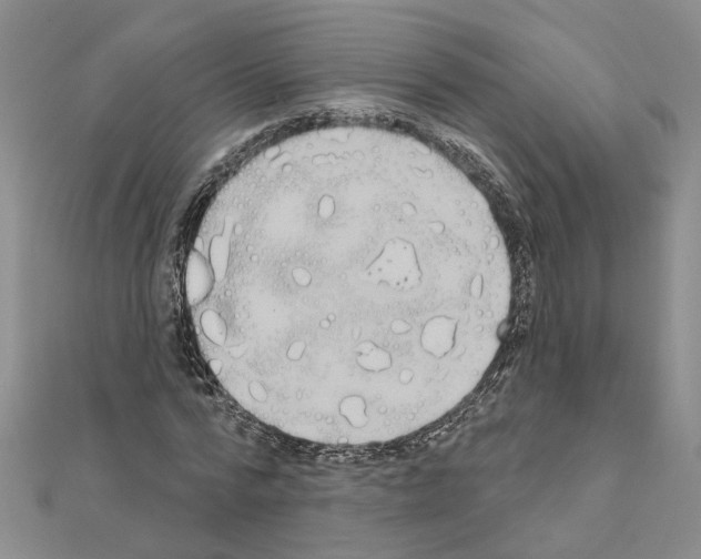 X0000111050776200908061517