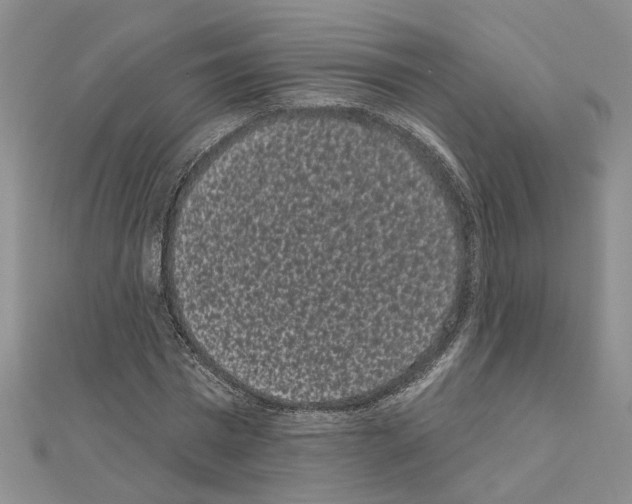 X0000111050777200908061517