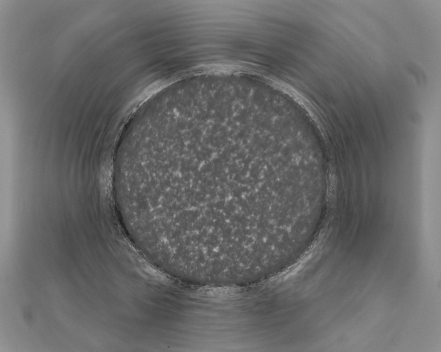 X0000111050778200908061517