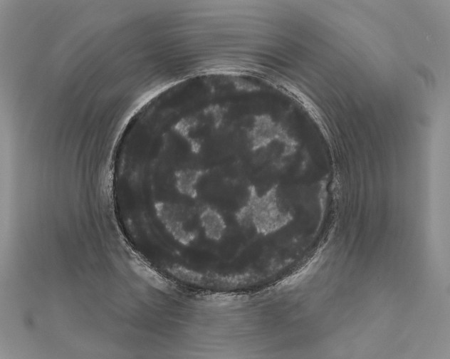 X0000111050779200908061517