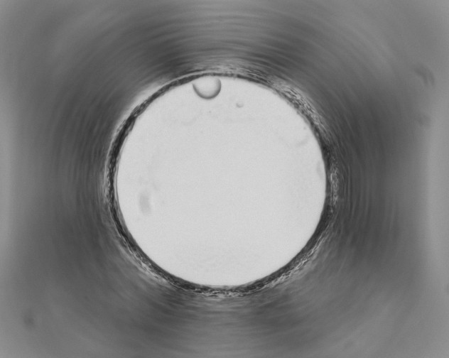 X0000111050780200908061517