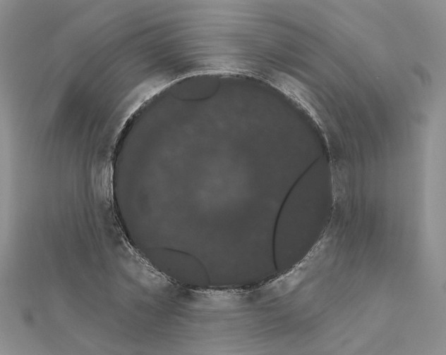 X0000111050781200908061517