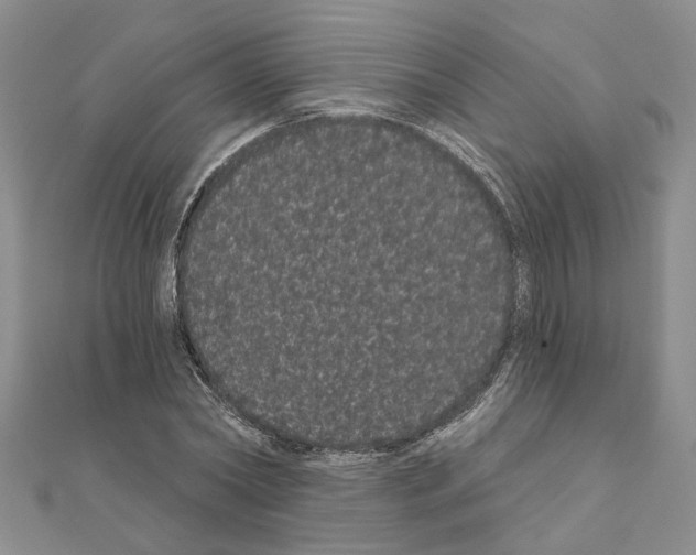 X0000111050782200908061517