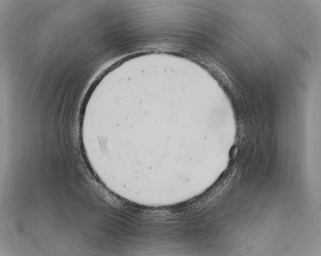 X0000111050784200908061517