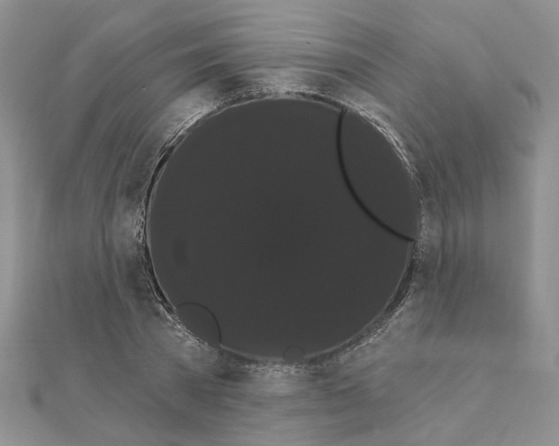 X0000111050785200908061516