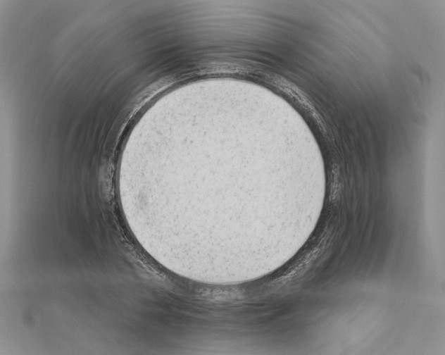 X0000111050786200908061516