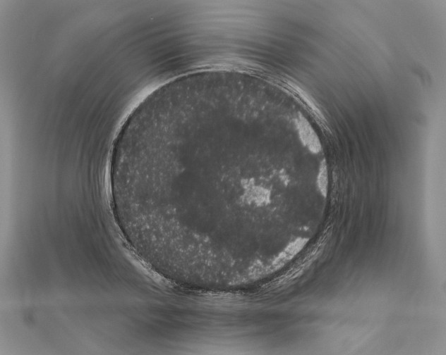 X0000111050788200908061516