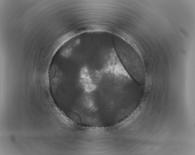 X0000111050789200908061516