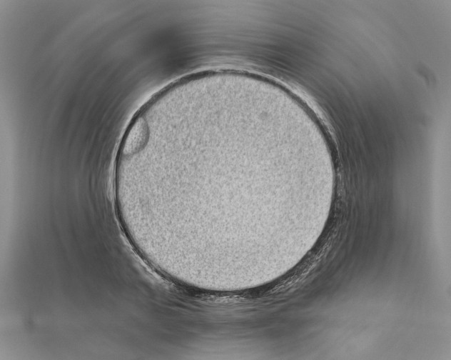 X0000111050791200908061516