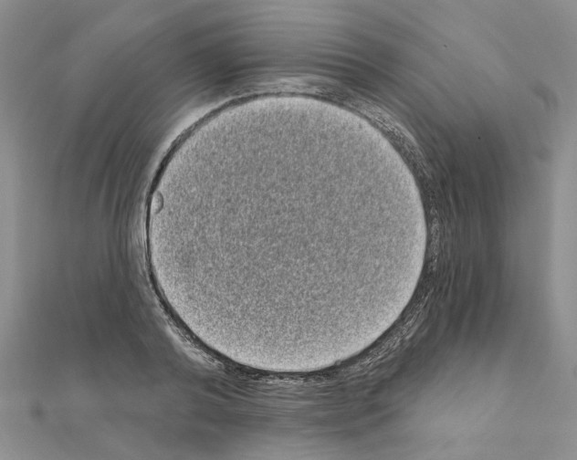 X0000111050792200908061516