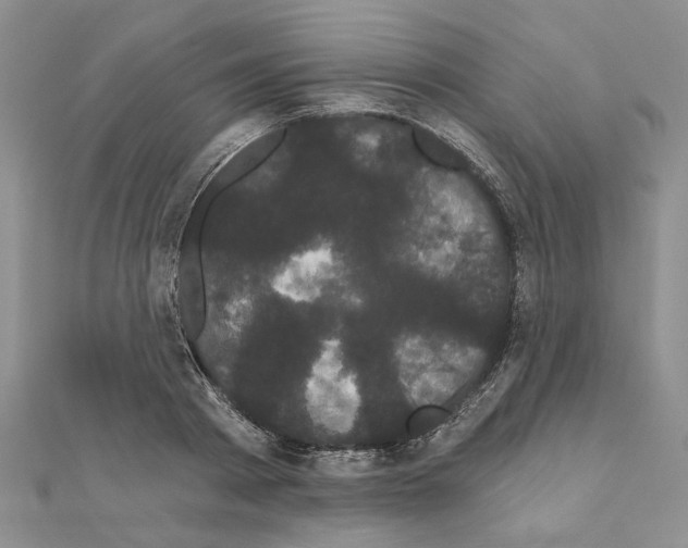 X0000111050793200908061516