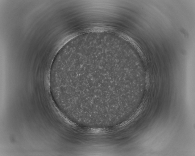 X0000111050794200908061516