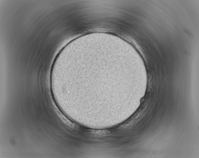 X0000111050795200908061516