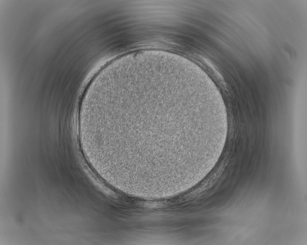 X0000111050796200908061516