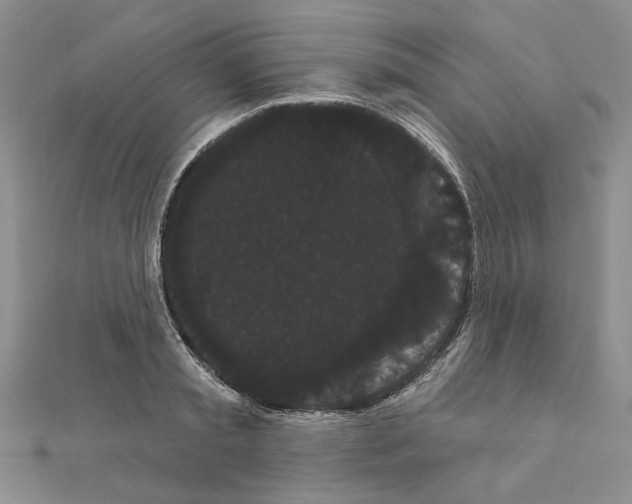 X0000111050797200908061516