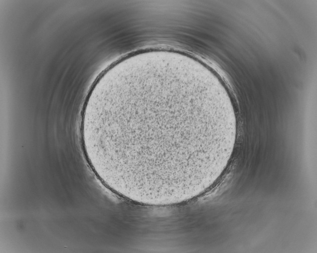 X0000111050799200908061516