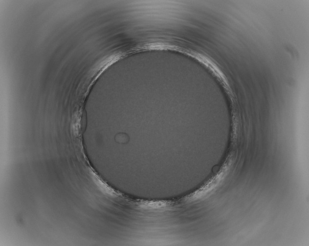 X0000111050801200908061516